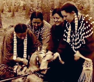 Native3rd's tweet image. “If you are driven by the material—fear, anger and pride will Nature will force you to into survival mode! But there are those who know, Life begins when we live beyond primal, If you are guided by courage, awareness, tranquility and peace… Nature will serve you!”
~ A. Ray,