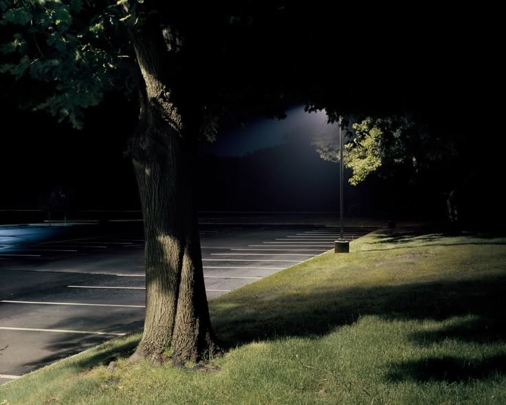 headhort (@headhort) on Twitter photo 