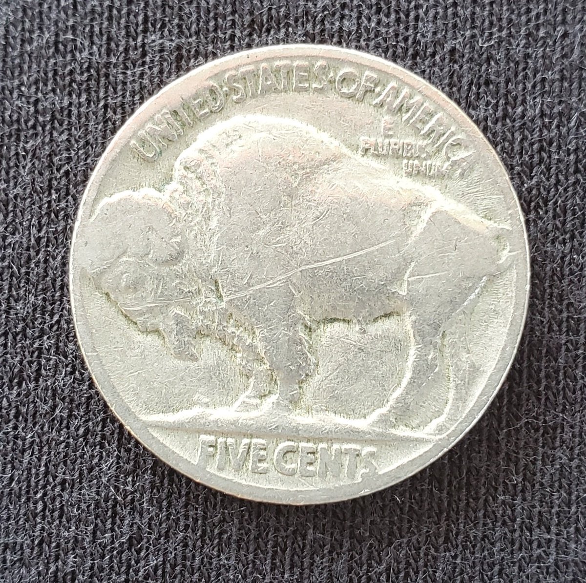 raingal7's tweet image. It's another yard sale weekend, and someone paid in buffaloes. So lovely! #goodtrade