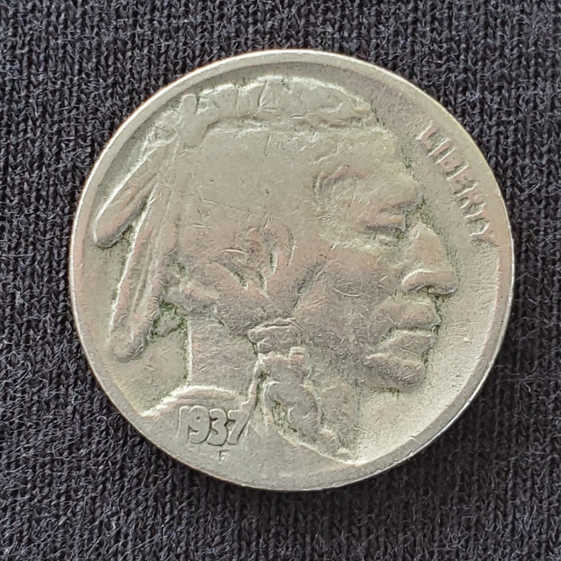 raingal7's tweet image. It's another yard sale weekend, and someone paid in buffaloes. So lovely! #goodtrade