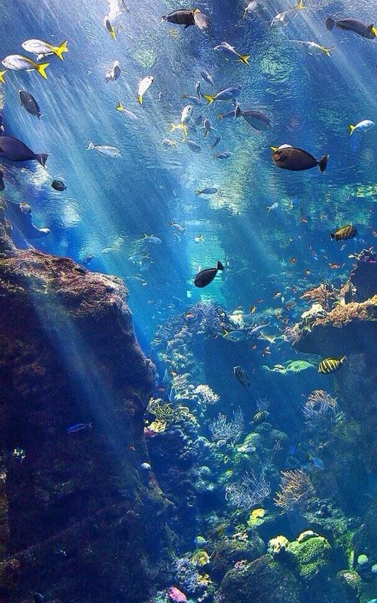 ☁️
応援してるからね！
👥 🍭