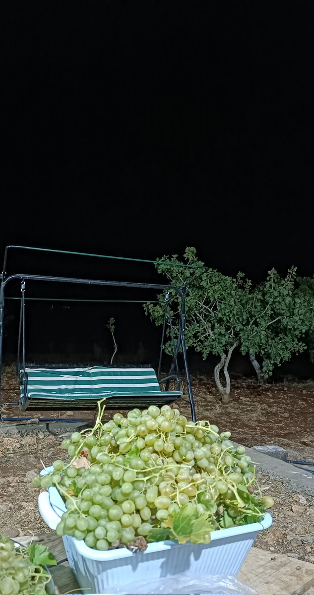 “Hangi yaşta ölürsek ölelim, tamamlanmamış cümlelerimiz olacak.”

“ Kuş ölür, sen uçuşu hatırla.” 

#FüruğFerruhzad