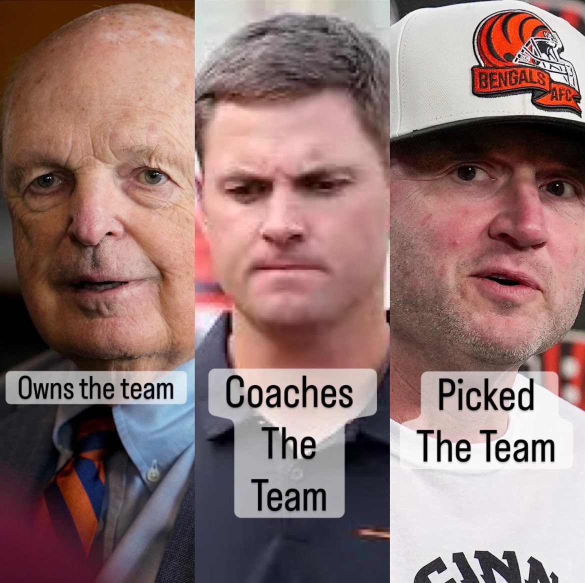 obscure bengals tweet media