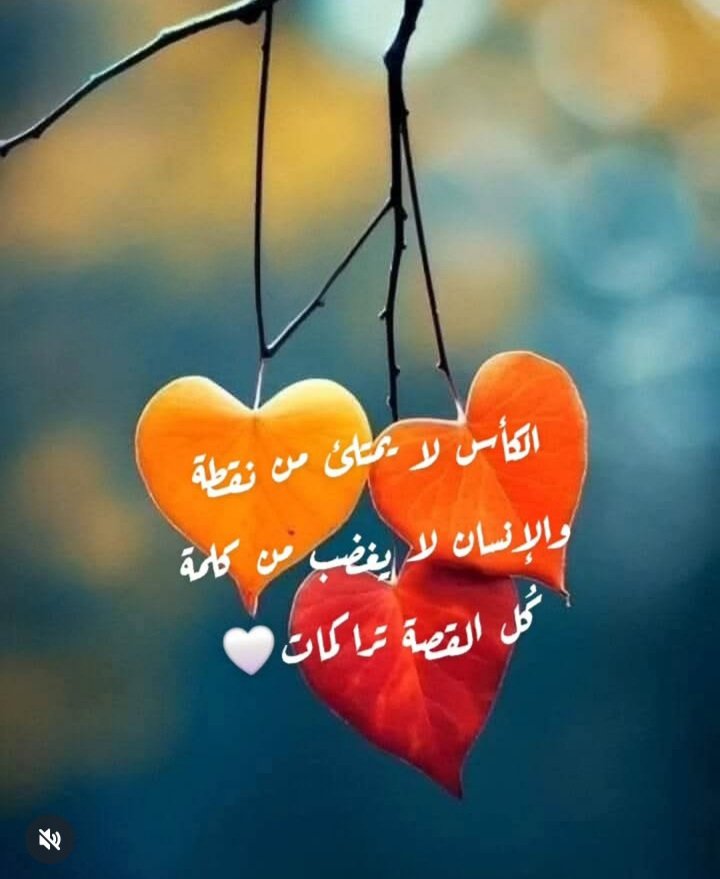 alkuwaitzain9 tweet media