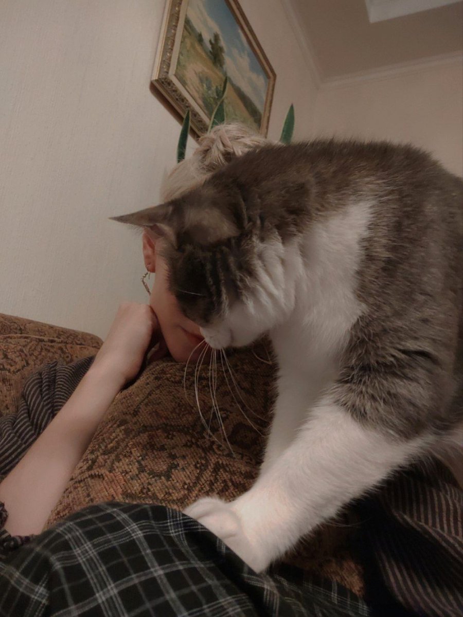 несмотря на то что мы деремся, Фишер всё-таки единственный питомец в моей жизни который прям _мой_