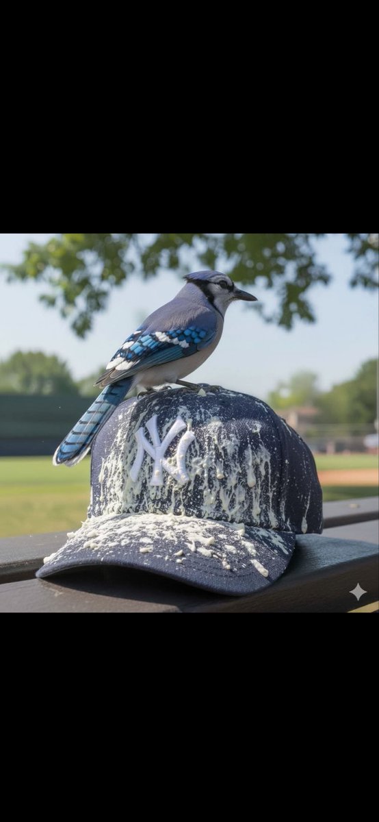 <a href="/MLB/">MLB</a>