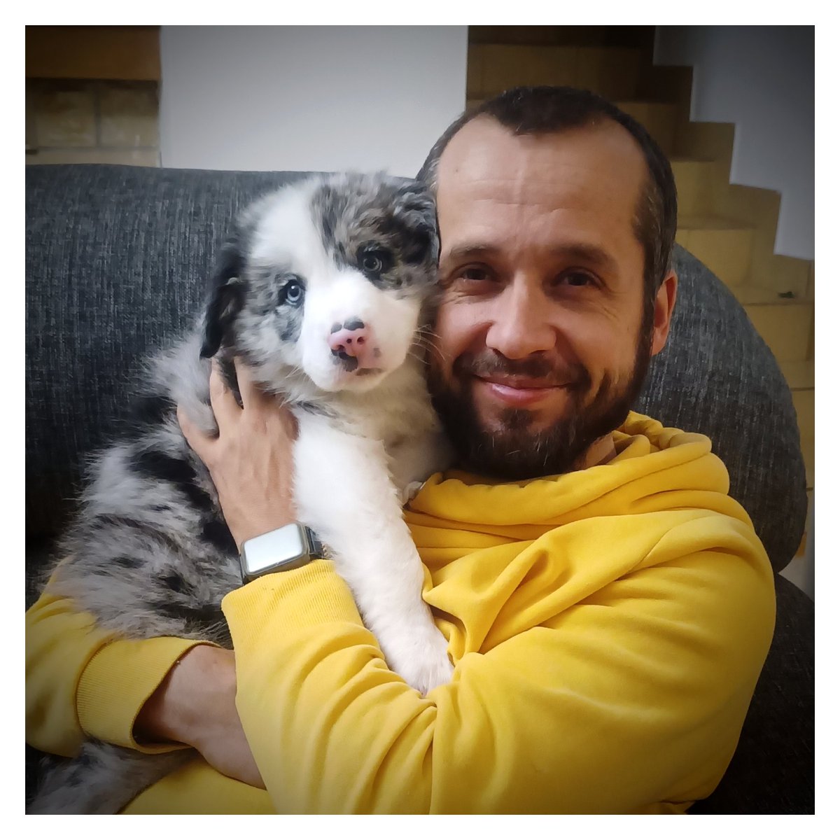 Today I drove ~900km to bring this little buddy home. It was my wife's and my daughter's dream, and if life isn't about fulfilling these, then I don't know what it's about 🤷‍♂️😅. Tired, but happy! #tearsofjoy #bordercollie