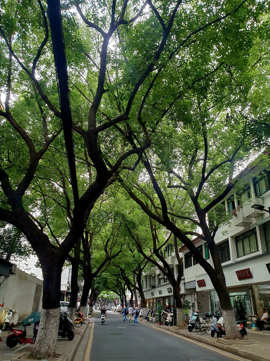 가는 곳마다 나무가 많아서
너무 좋았다.