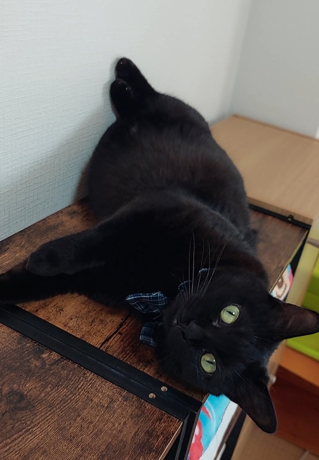 【値下げ中！】【美品】黒猫アイランド　SP本 激レア】黒猫アイランド SP本&SP本② 2冊セット【FX】 - メルカリ