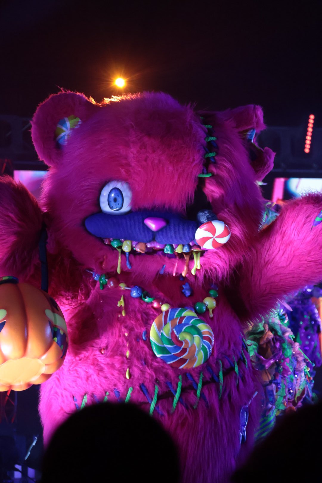 ハミクマ 05.09.2025 ハミクマ様グリ初日に1年ぶりに会いに行ってきまし
