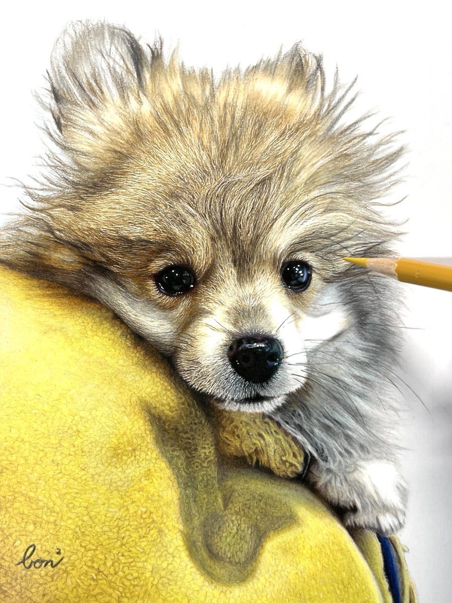 色鉛筆画 - Search / X