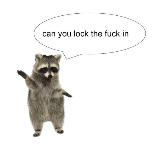 Why you should have a Raccoon tweet media