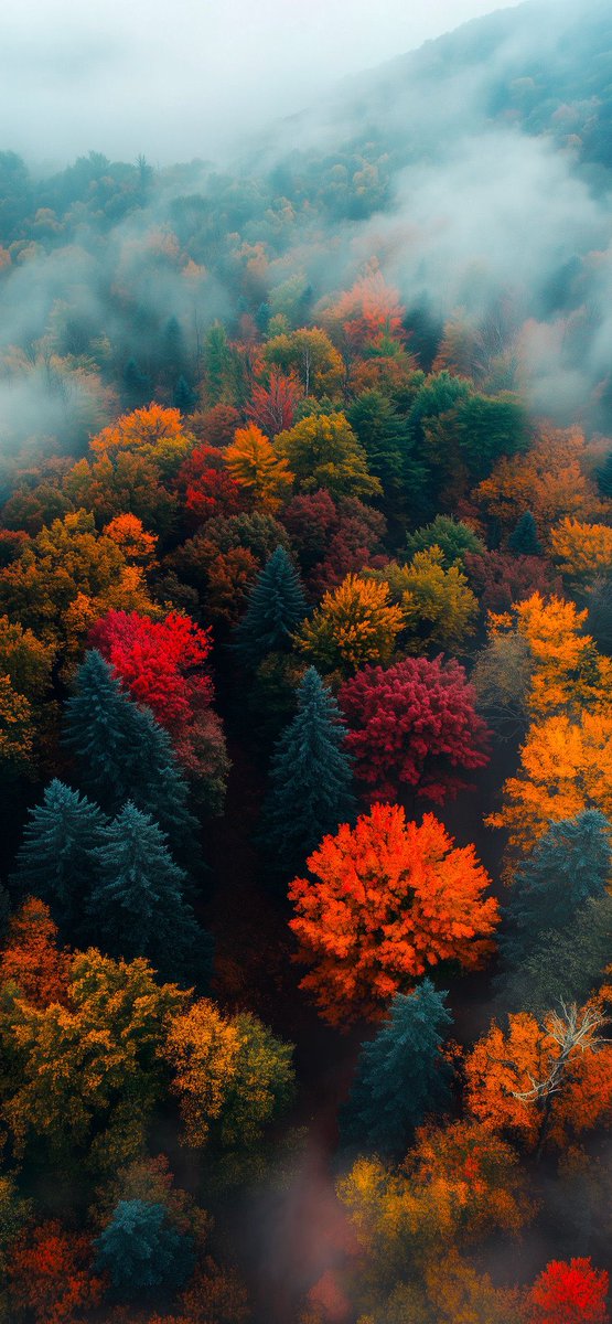 Elena (@elena192827) on Twitter photo 