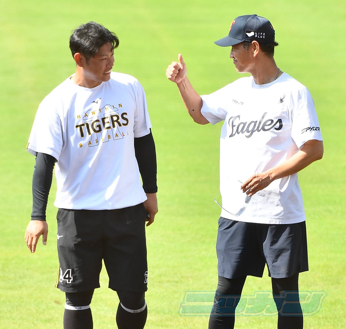 鶴岡一成 kazunari.tsuruoka (@ktsuruoka2) / Posts / X