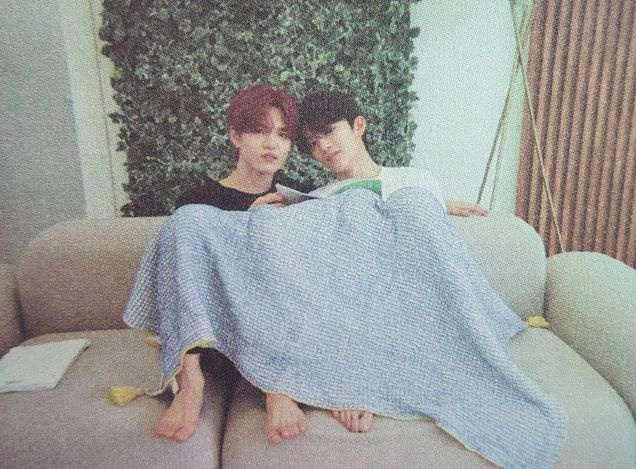 cerise⁺¹⭒˚.⋆ ≽^• ˕ • ྀི≼ tweet media