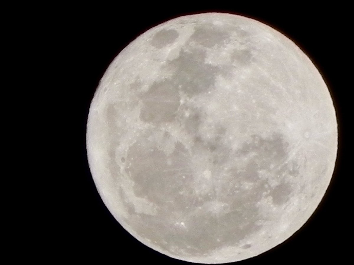 Luna llena, Luna Fresa en un 5 de octubre, una maravilla!!!
Desde La Serena y capturada sencillamente por mi, la comparto a quien la quiera… excelente semana al mundo mundial 5/10/2025