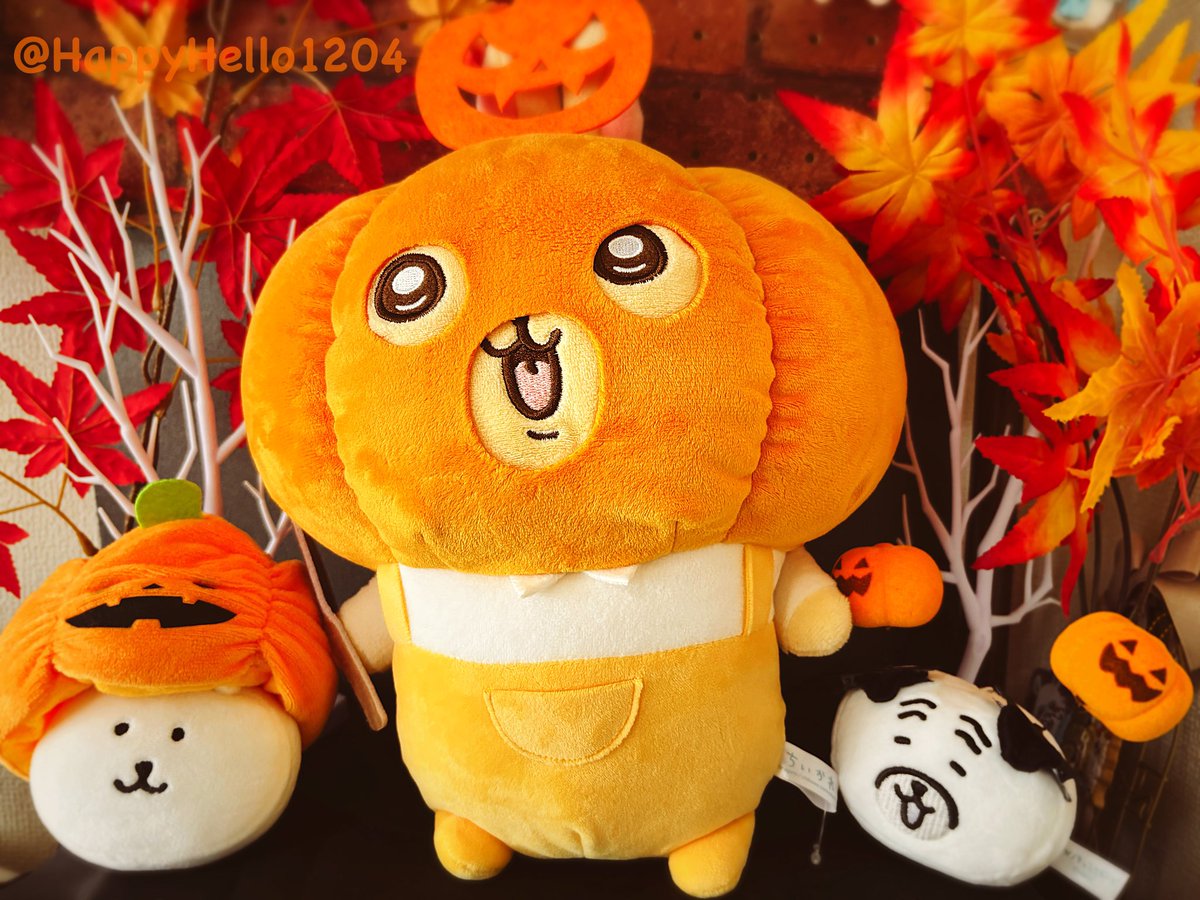 私の家もハロウィンに向けて玄関にやってきました。
（良いハッシュタグをお見かけしたので便乗）

#ちいかわ 
#カボチャうさぎ強化月間 
#カボチャうさぎ強化月間2025