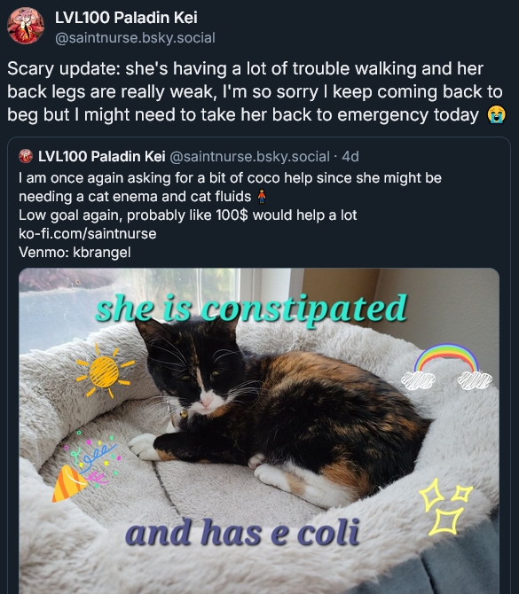 My friend Kei doesn't have an account here anymore so I wanted to raise awareness that her cat Coco is very sick and needs medical treatment. Please consider helping her out , it would mean alot to us. 1/2