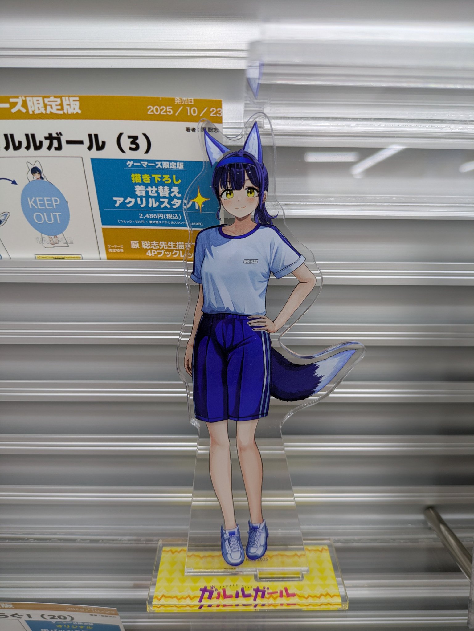 秋山璃月　廃盤CDR 2枚セット　NICE サマークラップ・マーマーマー 秋山璃月 秋山リツキ 廃盤CDRセット NICE サマークラップ・マーマーマー