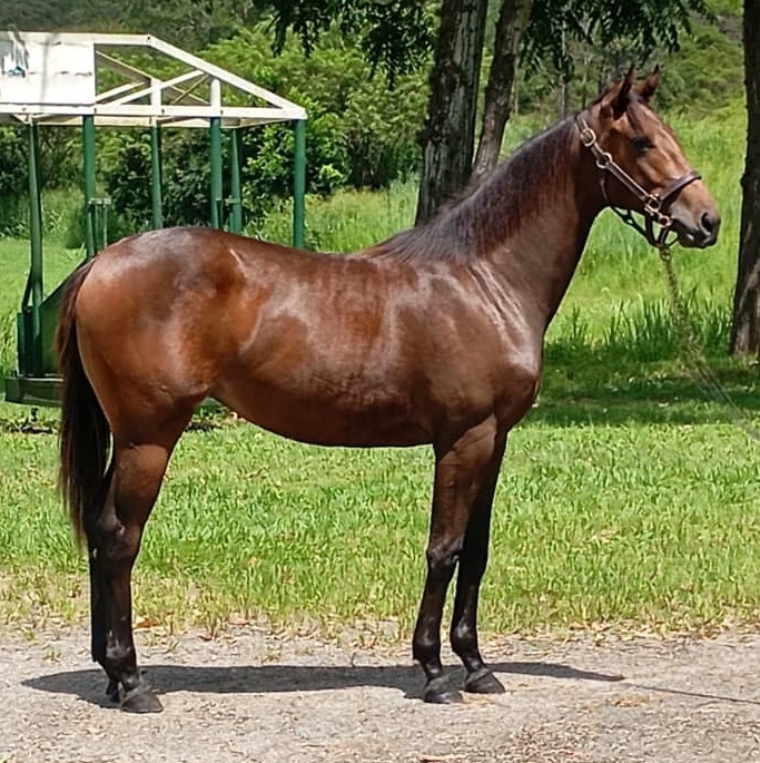 LUMI MITO tweet media