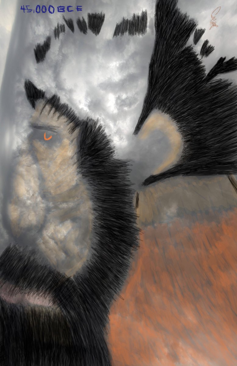 cloudWizard9 tweet media