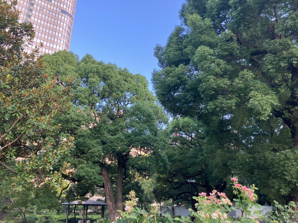 おはようございます！RD LINKです。
銀座は晴れ☀️

今日は「中秋の名月」🌕
夜には、きれいな月が見えるといいですね。

日中は夏のような暑さが続きますが、
秋の始まりを感じながら、今日も一日頑張りましょう🌿

#企業公式が毎朝地元の天気を言い合う
#企業公式が朝の挨拶を言い合う