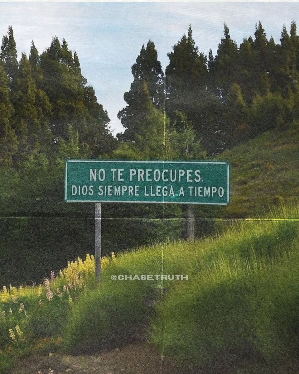 el Siervo (@elsiervo__) on Twitter photo 