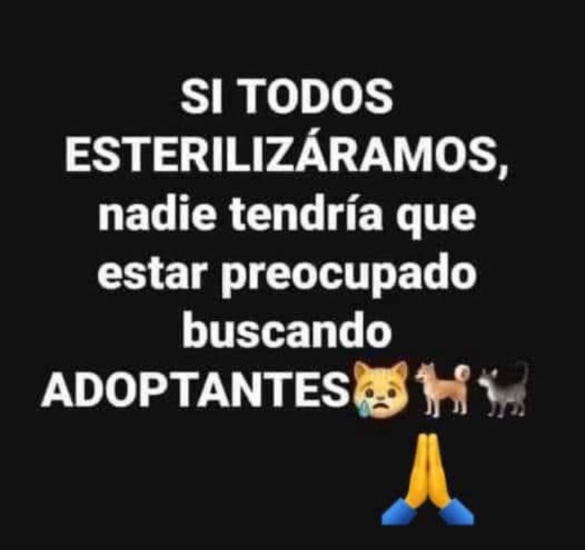 Que palabras más sabias!!! Así debería ser! Desgraciadamente muchos no lo entienden! Mucha ignorancia! Siempre lo repito..educacion canina para todos!!!🥹🥹🥹🥹RT