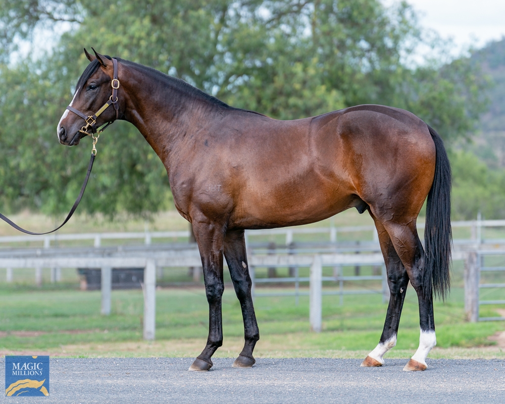 Minervini Racing (@minerviniracing) on Twitter photo COGITARE (4g ex Miss Vinnoire) resumes <a href="/newcastleraces_/">Newcastle Racecourse</a> Tuesday. The son of <a href="/coolmorestud/">Coolmore</a> SO YOU THINK (NZ) will be improved by the outing and a step up in trip as his preparation progresses. Mollie Fitzgerald rides in the 1300m Maiden. <a href="/CoolmoreAus/">Coolmore Australia</a> <a href="/coolmoreamerica/">Coolmore America</a> <a href="/TomMagnier/">Tom Magnier Coolmore</a> COGITARE (4g ex Miss Vinnoire) resumes <a href="/newcastleraces_/">Newcastle Racecourse</a> Tuesday. The son of <a href="/coolmorestud/">Coolmore</a> SO YOU THINK (NZ) will be improved by the outing and a step up in trip as his preparation progresses. Mollie Fitzgerald rides in the 1300m Maiden. <a href="/CoolmoreAus/">Coolmore Australia</a> <a href="/coolmoreamerica/">Coolmore America</a> <a href="/TomMagnier/">Tom Magnier Coolmore</a>