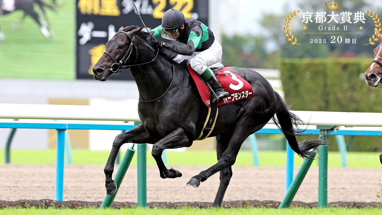 サウンドビバーチェ　実使用ゼッケン 　ターコイズS（G3）浜中俊騎乗 サウンドビバーチェ 実使用ゼッケン ターコイズS（G3）浜中俊