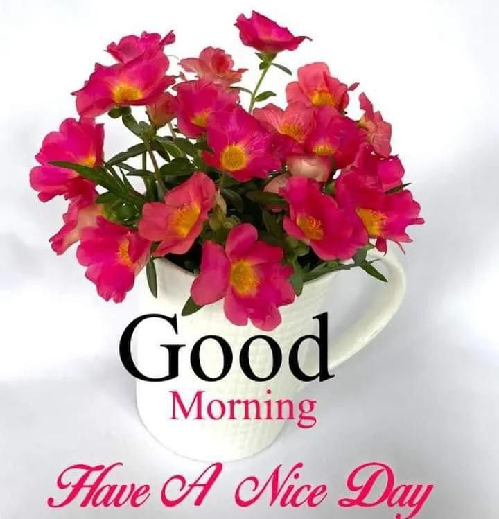 ARheagar40847's tweet photo. Good morning https://t.co/bgIwDrLyhz