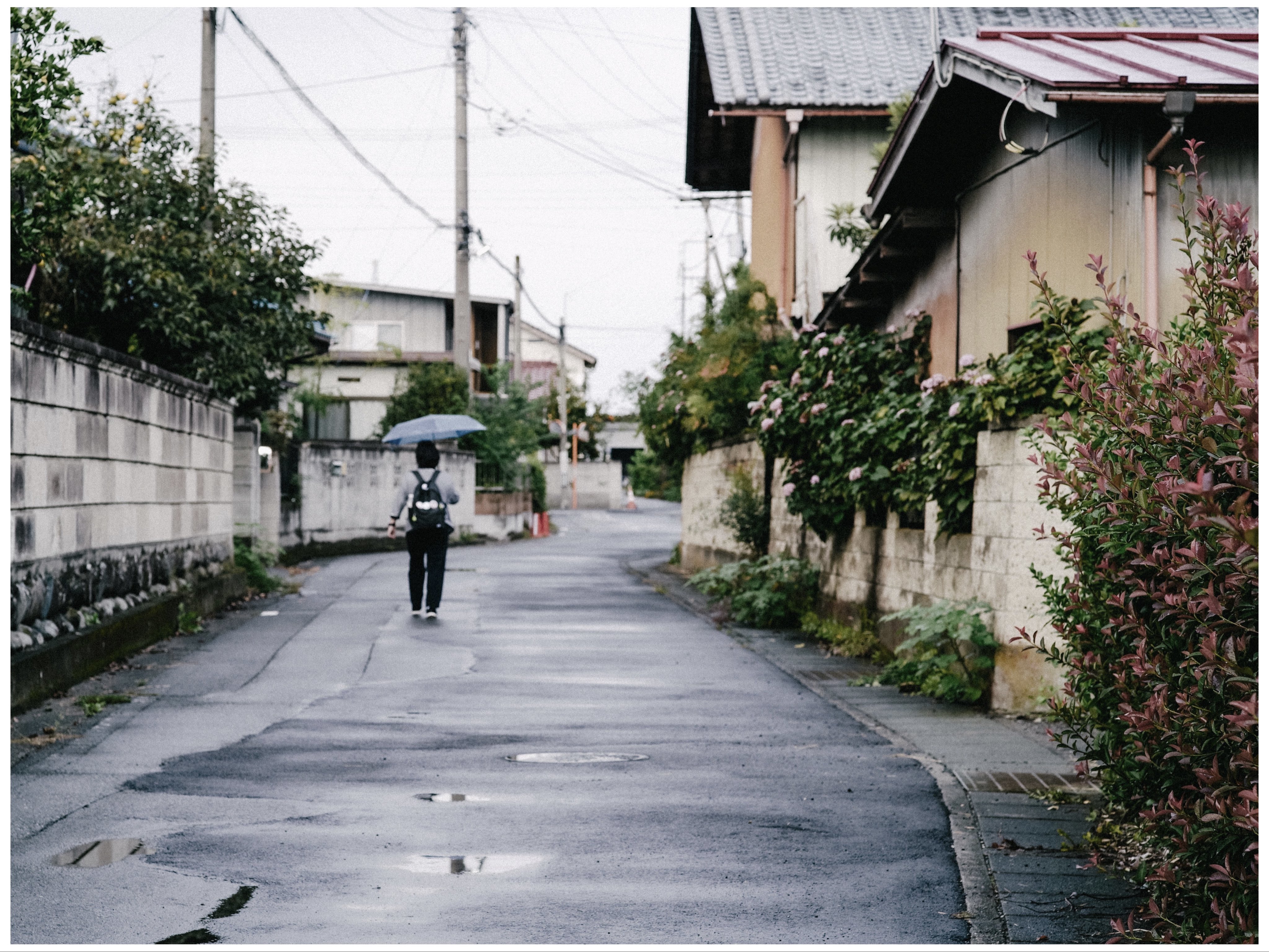 生写真 まとめ のぎふぉと@生写真のすゝめ (@nogiphoto) / X