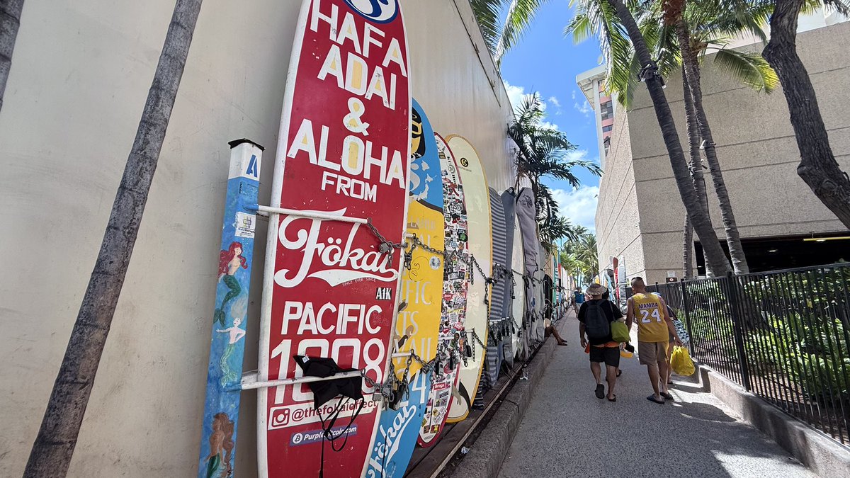 hawaii isla 808 tweet media