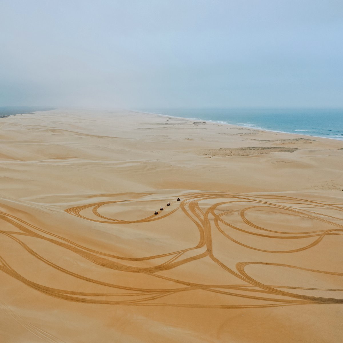 Adventure on (and off) the dunes! 🏜️✨

Make the Koala Sanctuary your base camp for the thrill of quad biking at Stockton Sand Dunes with @ . Wildlife one day, adrenalin the next!

Book your adrenalin adventure now! bit.ly/3ItgrE6