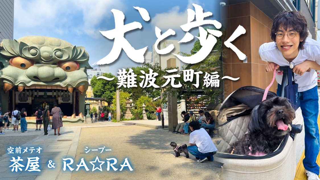 明日お昼1時からは #犬と歩く 🐩🚶
今回は #空前メテオ 茶屋さんと
シープー RA⭐︎RAちゃんが
難波元町周辺を散歩しています。

難波元町にゆかりのある茶屋さんと
カートでご満悦なRA⭐︎RAちゃんをお楽しみに
予告はこちらからご覧いただけます
見逃しは水曜10時より配信
11ch.eonet.jp/program/inutoa…