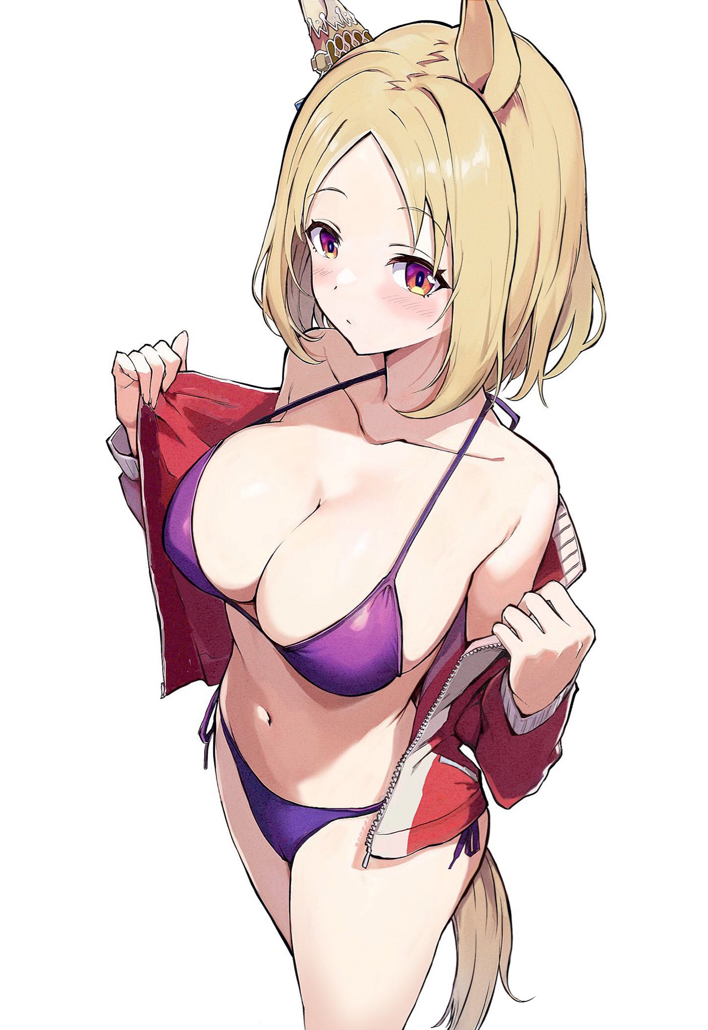 投稿の画像