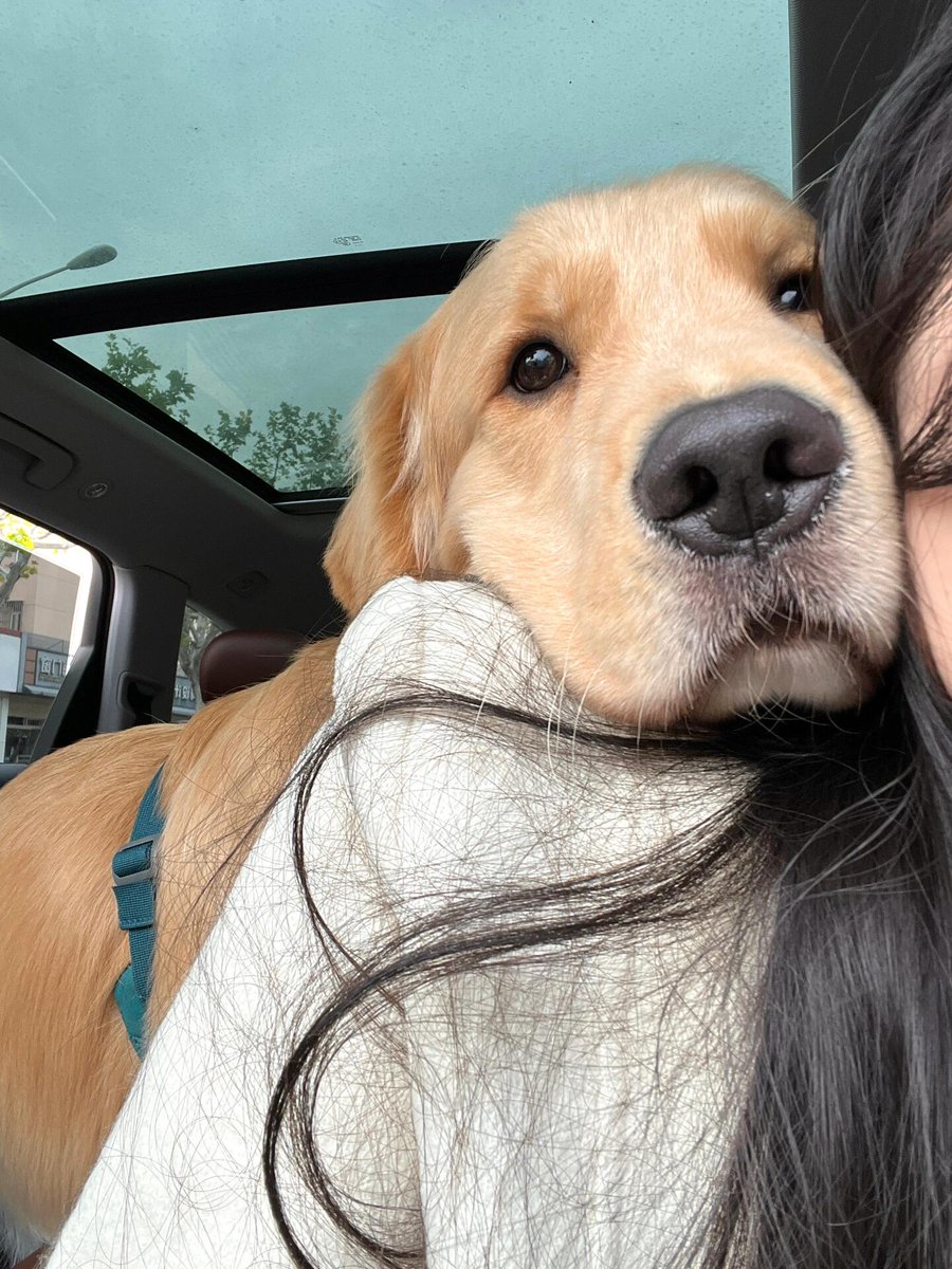 KeySamapio's tweet image. I miss my handsome dog, even though it has been gone for two years.