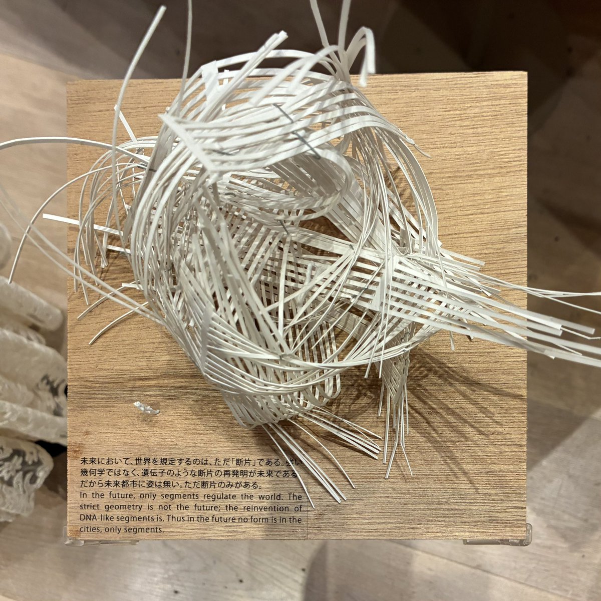 mk2_passcode's tweet image. 身体や社会との関わり方、心理領域的なものも含め、曖昧で流動的な場所や空間という存在。
藤本壮介氏の作品は禅でいうところの空のようなもの?
烏滸がましくも空間は創るものではなくて現れるものなのかななどと作品群を鑑賞しながら耽ってしまった。
#藤本壮介の建築
#森美術館