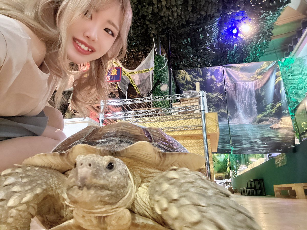 こんにちはーっ🙌💓

今日はとうとう話題の最新台...導入日です🥰
#海物語 に #超電磁砲 ...可愛い女の子達が大活躍する台が沢山で心躍る🫶
ぜひ話題の最新台、鶴ヶ峰店でお楽しみください...🥰

ってことでカメさん(リクガメ)とこの間ツーショット撮りました🐢💜笑

PR #パチンコ #新台