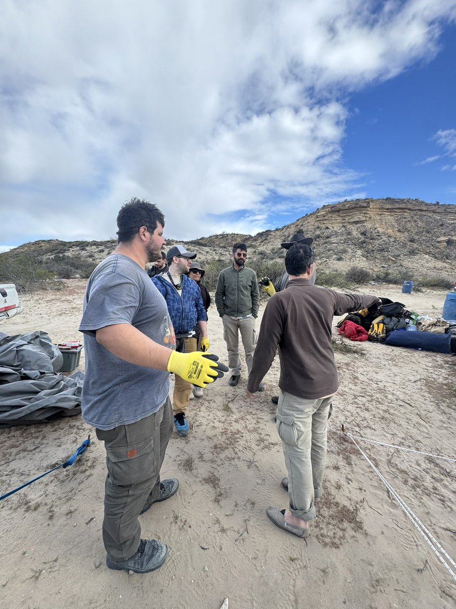 GiardinelliC's tweet photo. MAÑANA ARRANCA EL STREAM DE PALEONTOLOGIA 

¡Y ACÁ ESTOY CON ELLOS PARA COMPARTIRLES LO QUE VAYA PASANDO! https://t.co/BRxCzk8R53