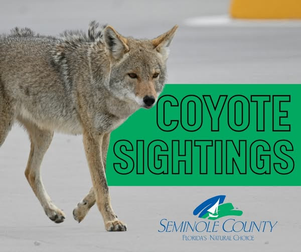 COYOTE SIGHTINGS: Problems can significantly be reduced by removing attractants. This can be prevented by:
•Securing garbage cans
•Removing pet food outdoors
•Keeping pets indoors &amp; livestock in predator- resistant enclosures
•Walking dogs on a short leash less than six feet