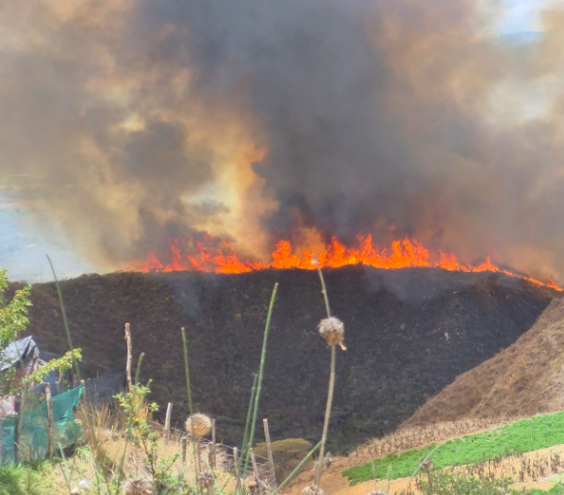 COENPeru's tweet photo. 📢Amazonas: esta mañana se inició un #IncendioForestal en el sector Tejapata, distrito y provincia de #Luya. #GORE, gobierno local y @cgbvpoficial coordinan las acciones de respuesta. Hasta el momento se reporta daños a cobertura natural, mas no a la vida y salud de las personas. https://t.co/Ktj3mR8JMK