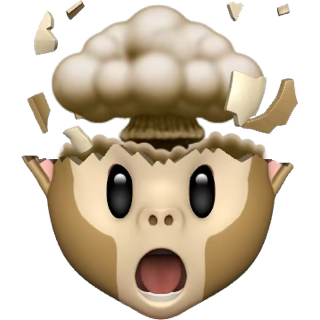 ๐๐๐๐๐. ๐ฆ tweet media