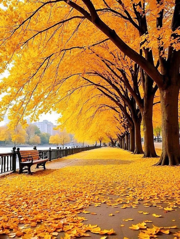 DisperseStar1's tweet photo. Living the moment is the
best policy :
"The tragedy of life is not death but what we let die inside of us:”—-
Norman Cousins
#LifeOutLoud #livelifenaked https://t.co/xYTG2rs1j3