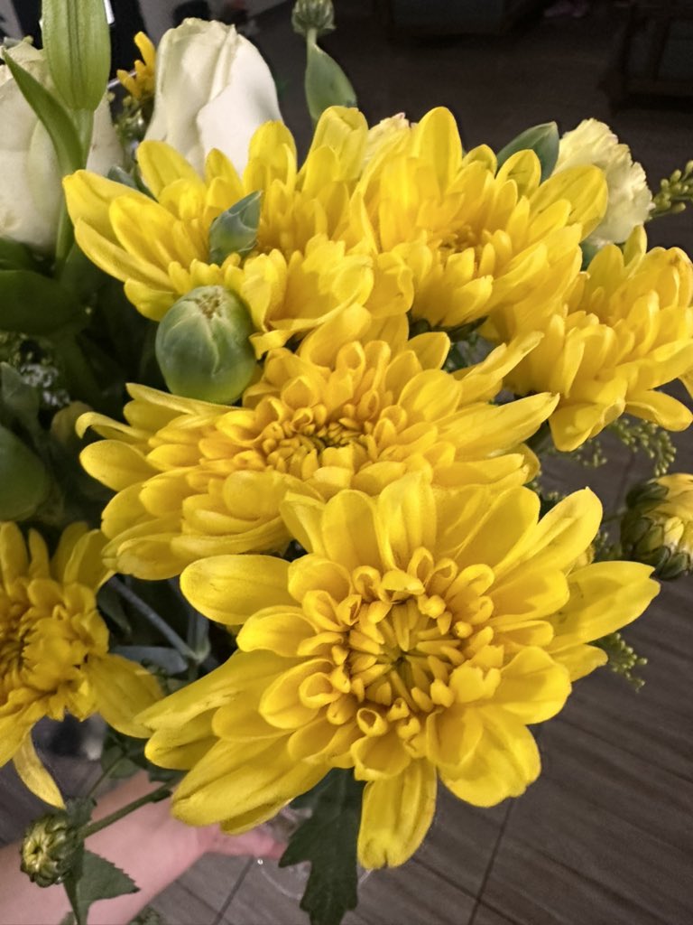 Astteer's tweet photo. 🌻💛🐝🌼☀️
Y el amarillo del sol iluminaba la esquina… https://t.co/PGIuqWlgRa