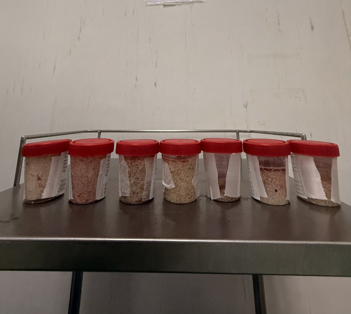 Dr. Karian Trujillo tweet media