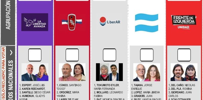 Los libertarios pretenden reimprimir las boletas porque cambiaron de candidato. Son 15.000 millones de pesos que tendrían que pagar todos los argentinos. Después te dicen degenerado fiscal por darle más plata al Garrahan o a los jubilados.