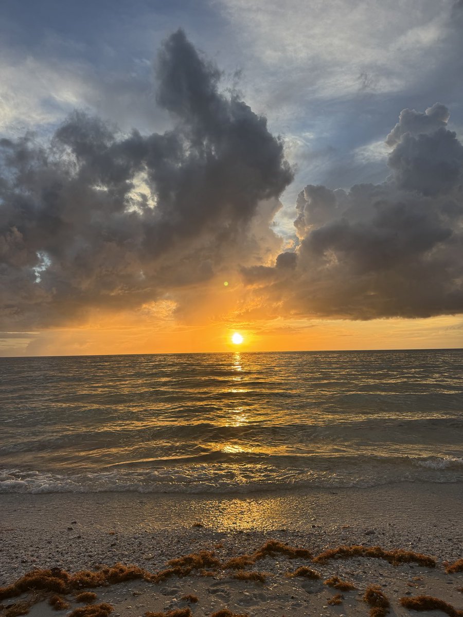 TomorrowRuby's tweet image. Vanderbilt Beach