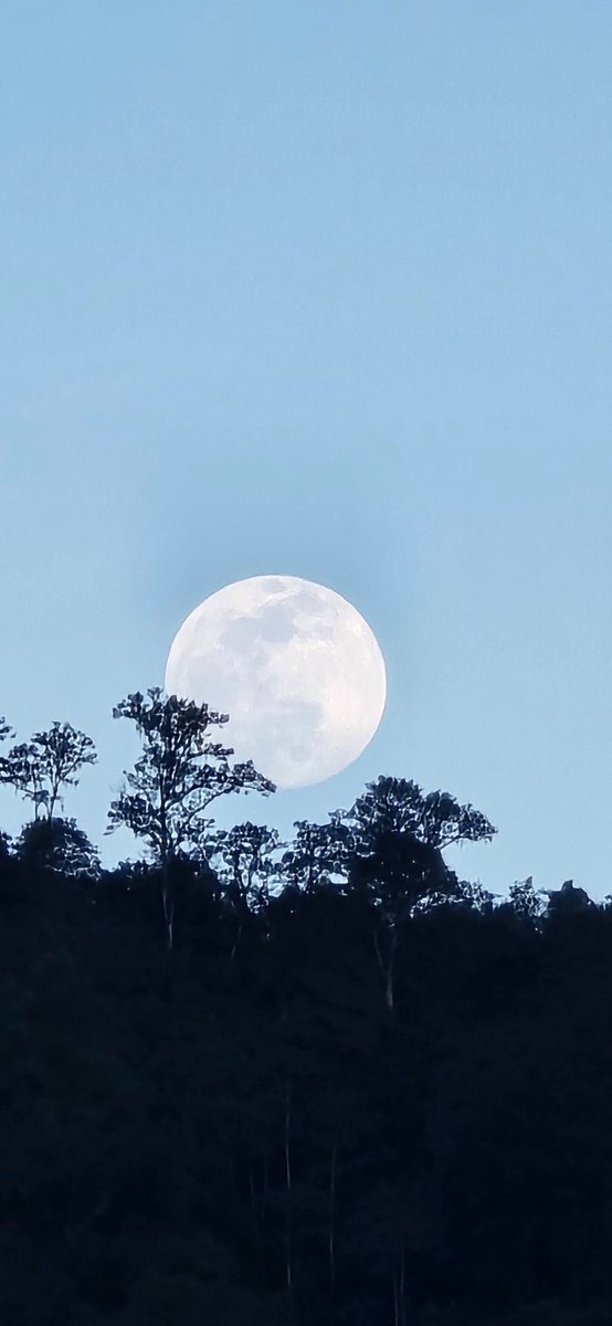KTHYTA09's tweet photo. 🌕♥️✨️ https://t.co/w3jL75JRs0