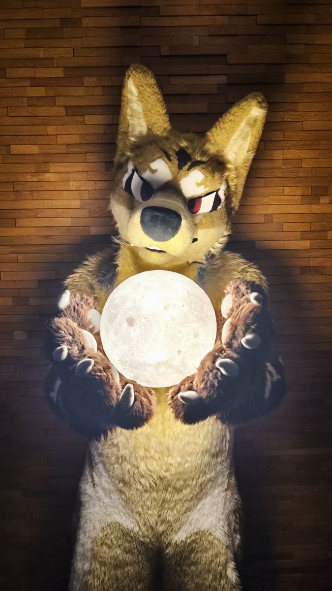 The Harvest Moon.

📸 <a href="/yamacha777/">やまちゃ@FurEast</a>